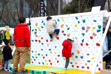 Climbing wall