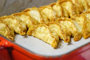 เทศกาล All Japan Gyoza  2026