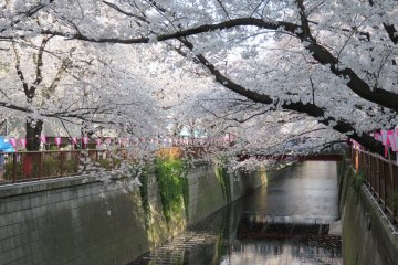 Meguro River