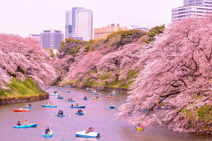 Chidorigafuchi Park
