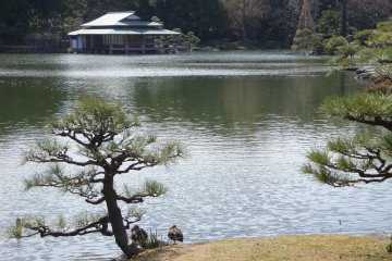 Kiyosumi Teien Garden