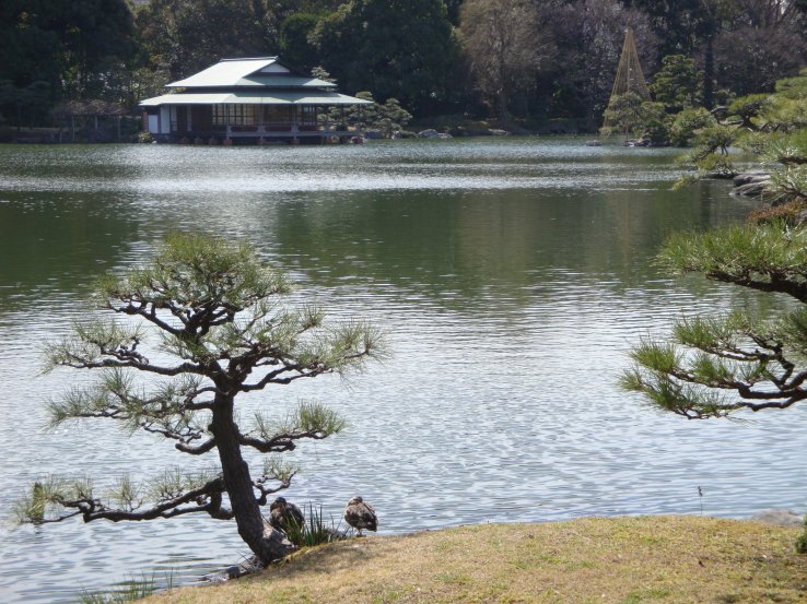 Kiyosumi Teien Garden