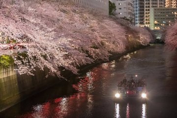 Sakura Sungai Meguro