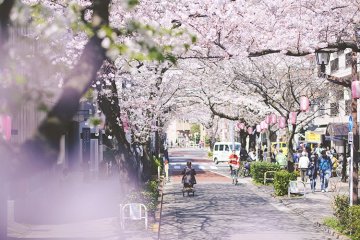 Nishi-Koyama