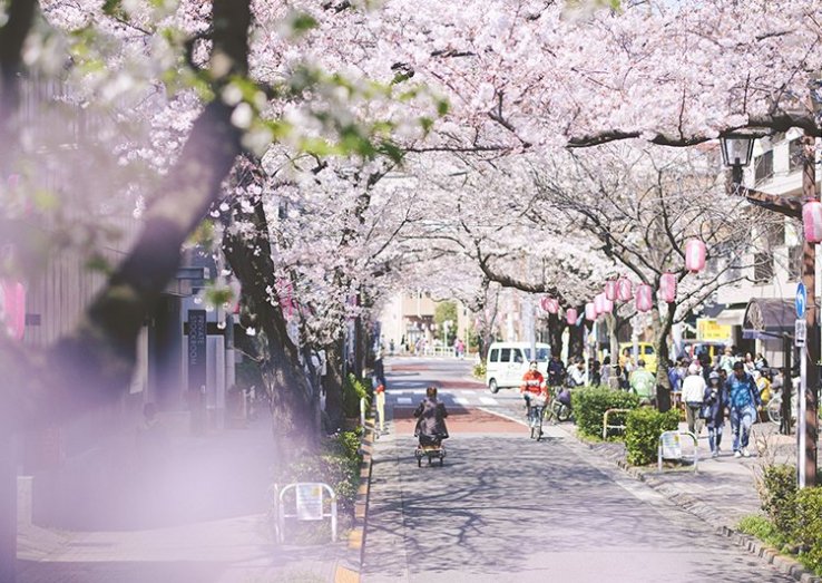 Nishi-Koyama