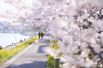 Shinagawa Hanakaido