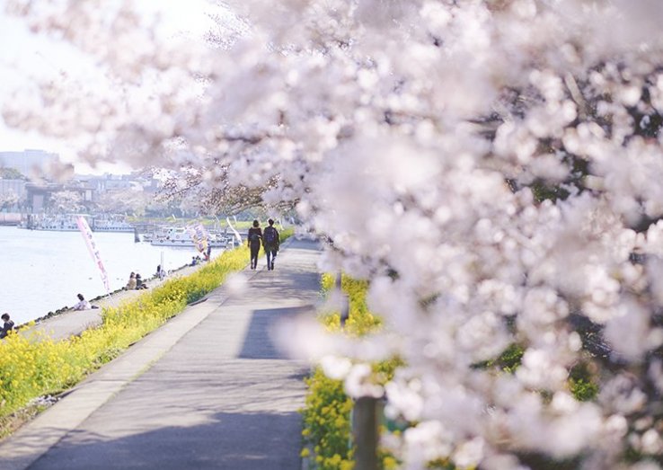 Shinagawa Hanakaido