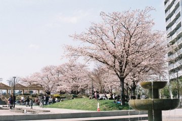 Shinagawa Central Park di Kantor Distrik Kota Shinagawa