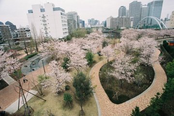 Tennozu Higashishinagawa Marine Park