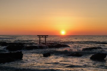 Food Discoveries in Oarai