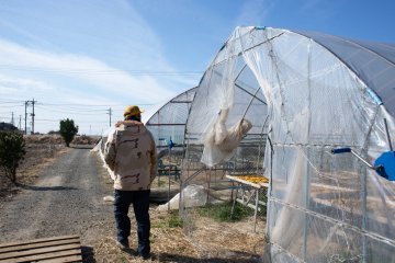 Touring the sweet potato farm at Nousanbutsu Kakou Konya