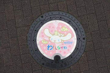 Cherry blossoms