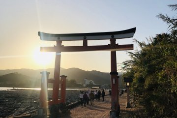 Traditional Japan with a Tropical Touch