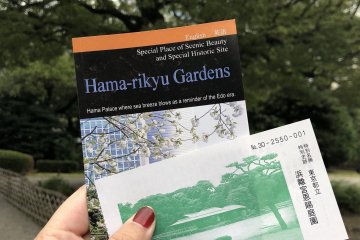 What to Do with a Day in Tokyo 