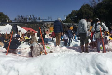 I'm not sure how they keep the snow in t-shirt weather.