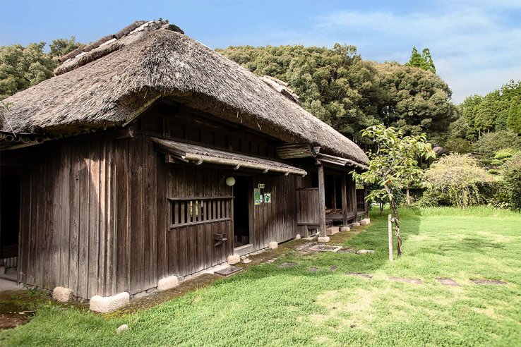 Traditional house