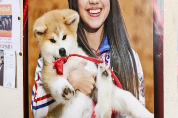 Doggie Diplomacy: Russian President Vladimir Putin, a well-known dog lover, was presented with an Akita dog by the Japanese Government when he visited Japan in 2012. 