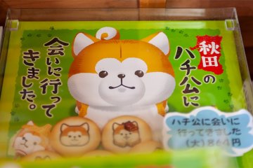 The Akita Dog Visitor Center was opened across from Odate Station in 2019 where you can take photos of the dogs and enjoy a large selection of Akita themed souvenirs.