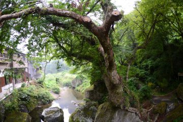<p>One of the houses near Shinyakabei</p>