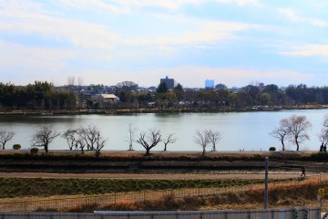 The beautiful Lake Senba