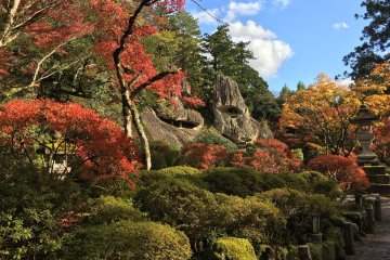 Stunning autumn colors