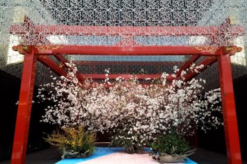 The Edo Butai cultural stage