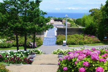 The beautiful scenery of the park