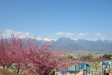 Spring in Ikeda Town