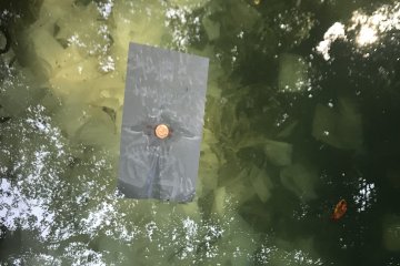 Wishing for love at Yaegaki Shrine 