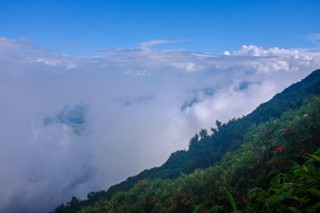 As you progress higher up the mountain, the trail gets considerably steeper