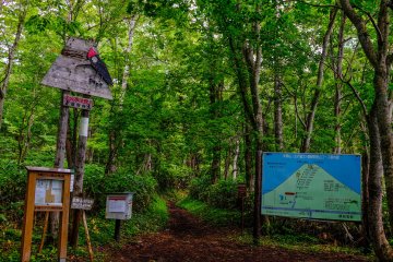 The Lake Hangetsu trailhead. Be sure to complete the hiking log before you begin hiking