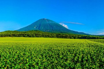 Mt. Yotei in the Shikotsu-Toya National Park, Hokkaido