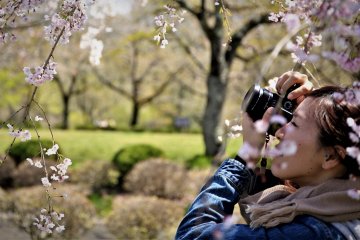 Experiment with different angles when taking photos, even getting down on the ground if you must