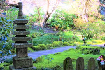 View within the temple grounds