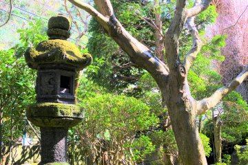 Another view from within the grounds
