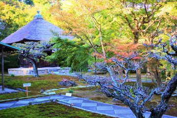 Choju-ji Temple in Kamakura