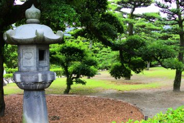Lantern and pine trees