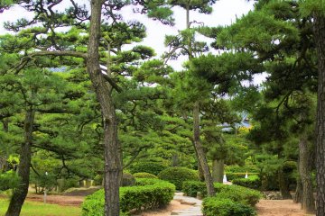 Tasteful Tamamo Park