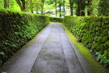 The scenery of Nikko