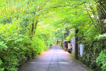 Nikko is filled with beautiful scenery