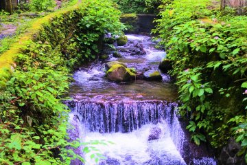 The stream in the precinct