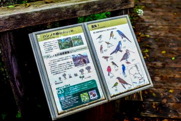 There are various information boards along the path which highlight some of the species you are likely to encounter
