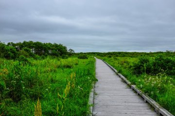 The path is equally impressive during the summer and foliage colours and wildlife change almost weekly