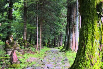 The tasteful Takino Kodo road 