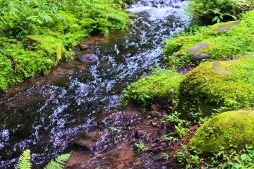 The river by the Takino Kodo 