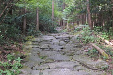Kumano Kodo in Mie