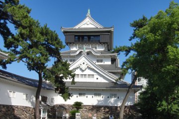 White tower, green pines