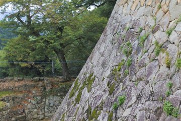 The stone wall