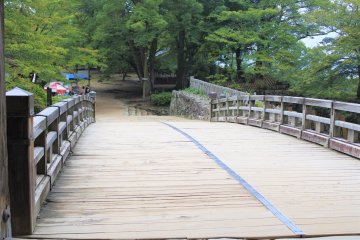 The corridor bridge