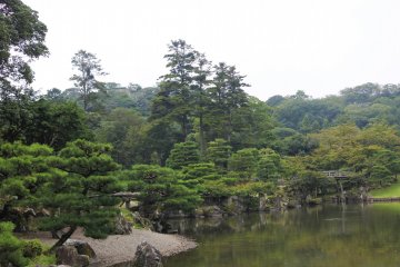 View of the Japanese garden